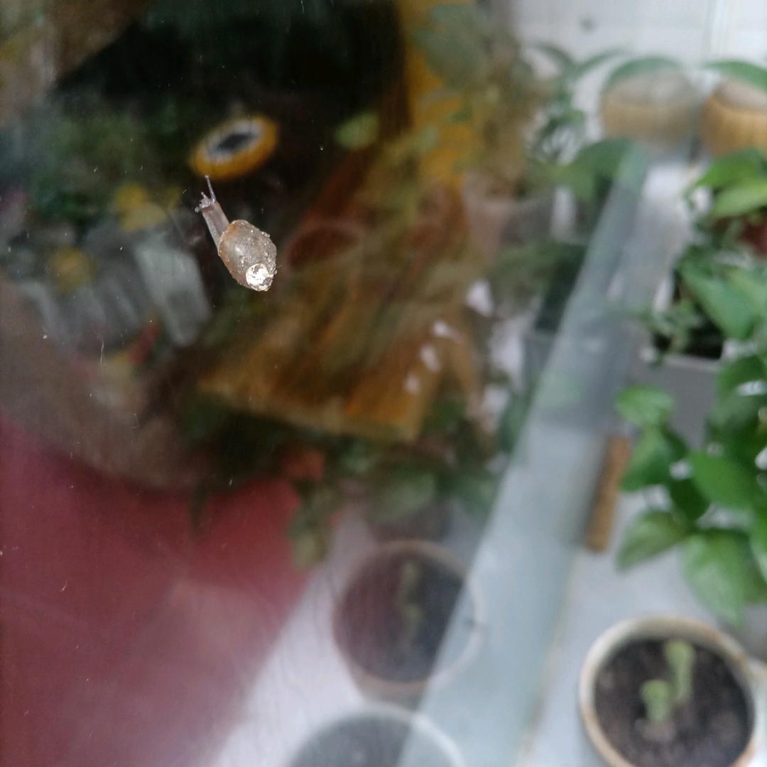 一周来碗蔬菜面