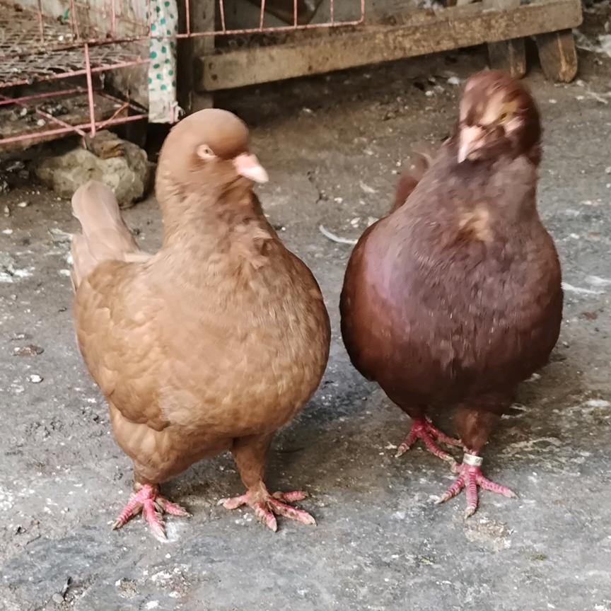 地址涡阳县牌坊镇