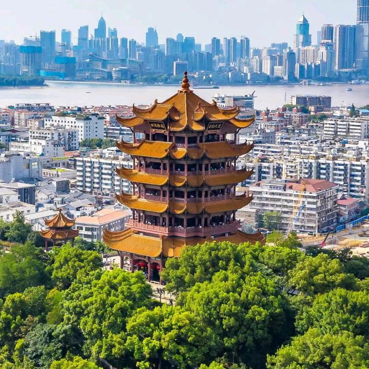 吴迪兰