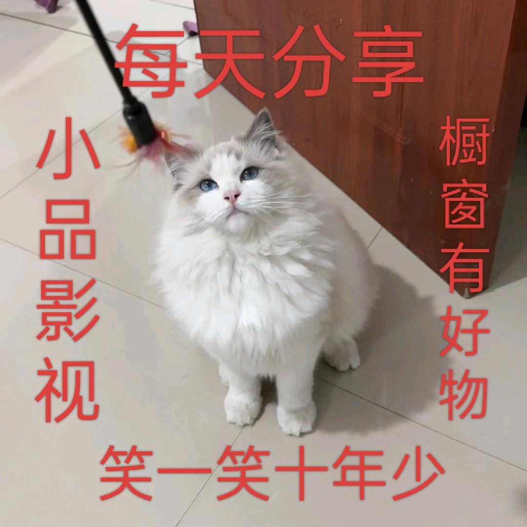 小品影视大全（橱窗有好物）