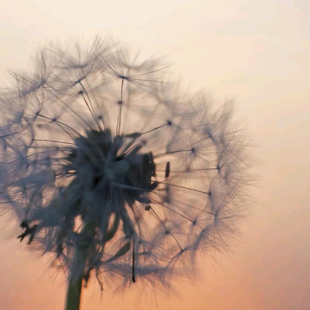 落雨难藏温柔