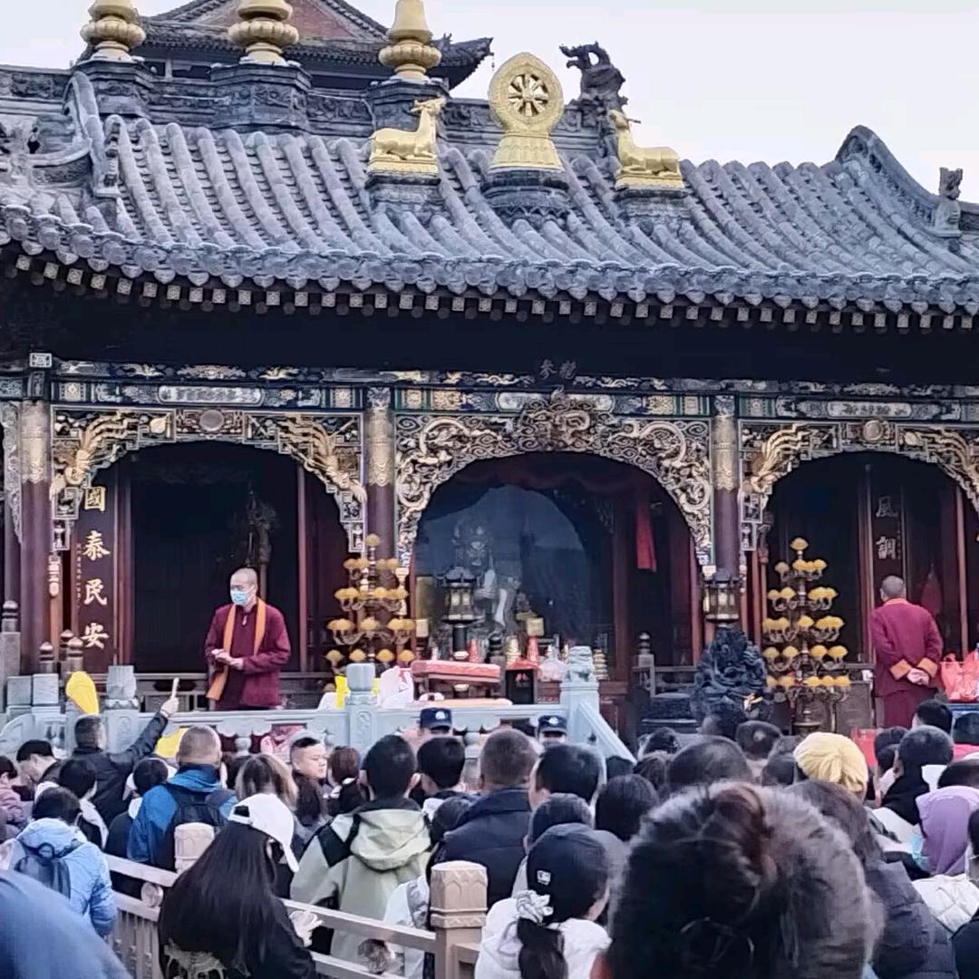 东北光头哥