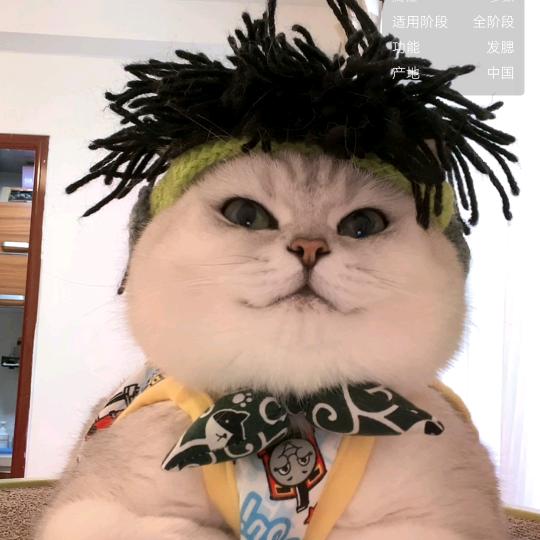 奶茶姐姐🌈🌈🌈