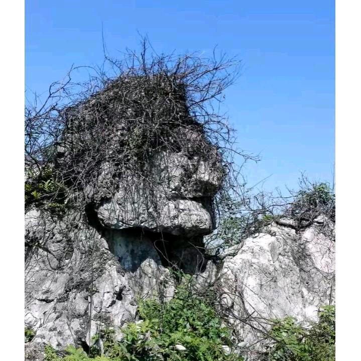 状元书院