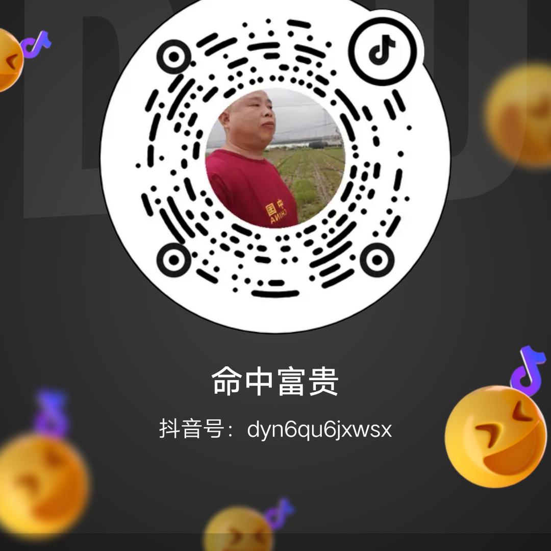 中华民谣