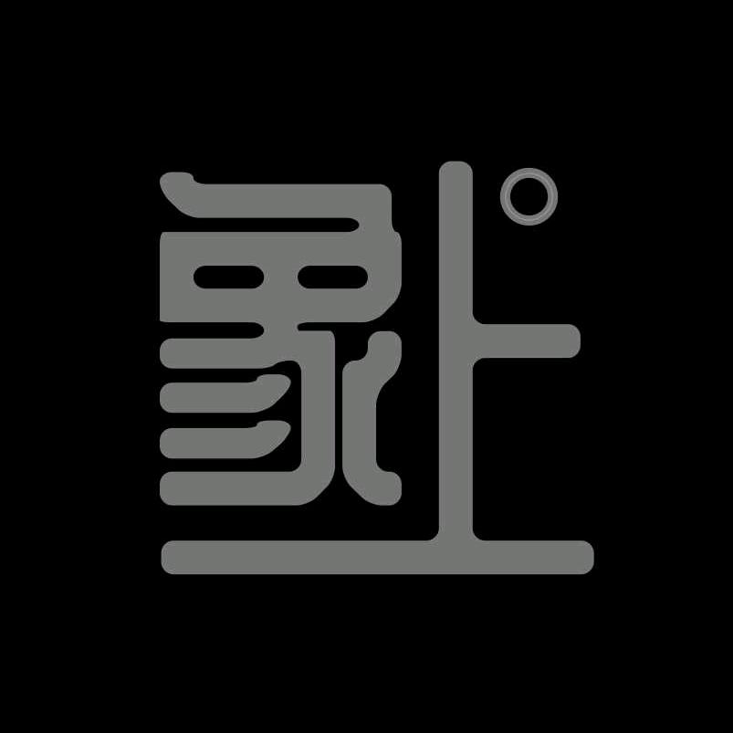 象上