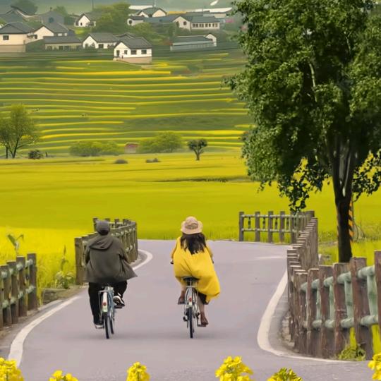 只发脾气不发财