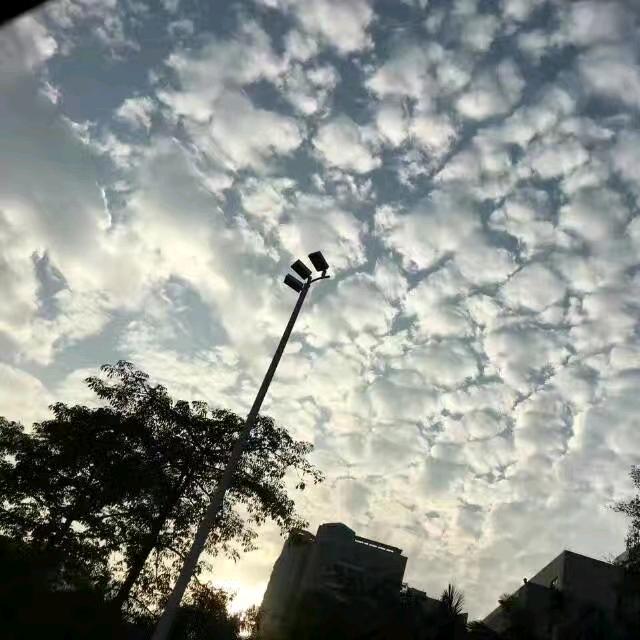 放牛班的林班长