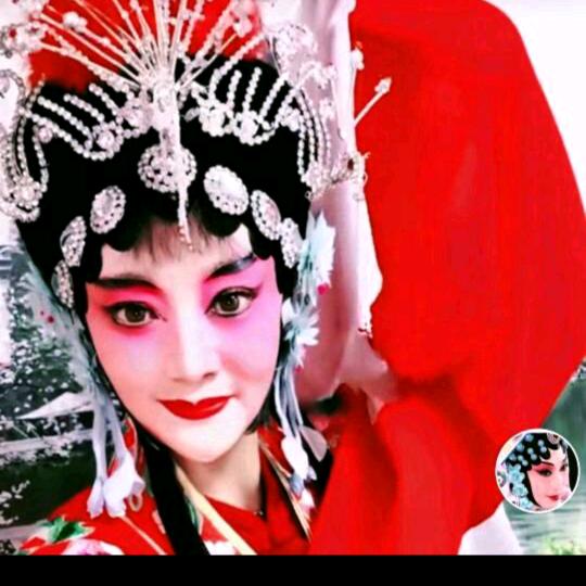 豫剧赵英子