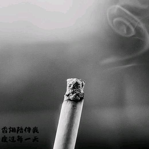 歲月無聲