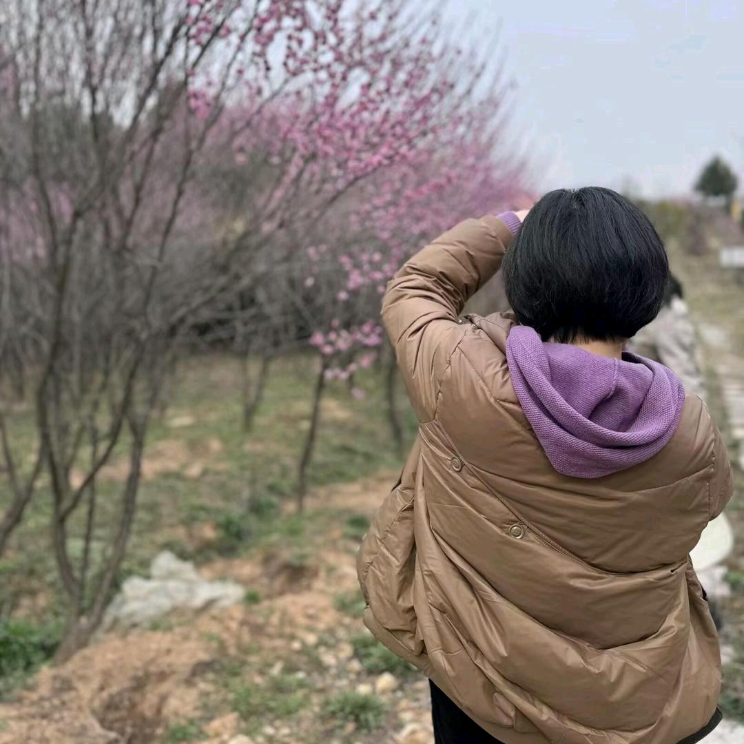 放飞的风筝