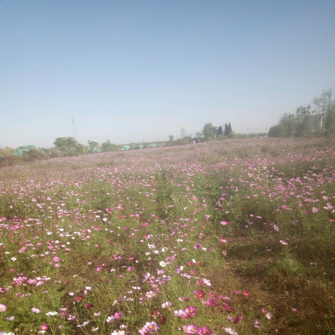 ꪋꪆᩚ༉💕输在&认珍꧔҉ꦿ࿐