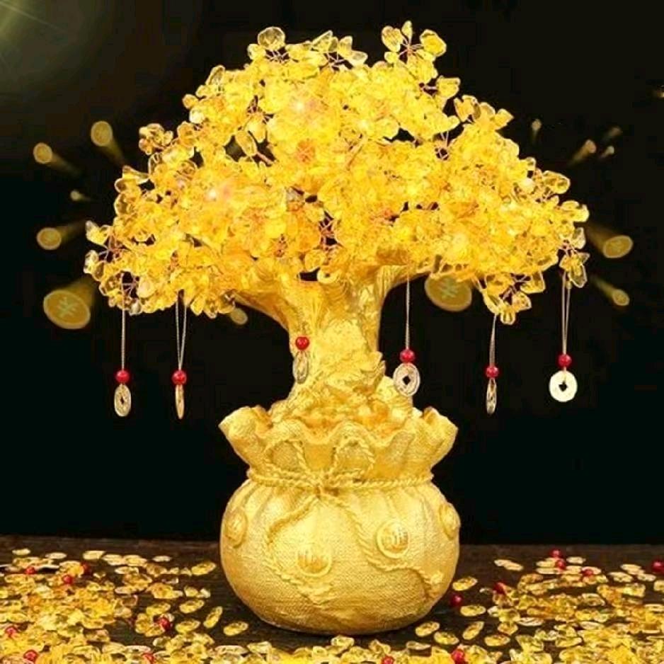 曹慧芬