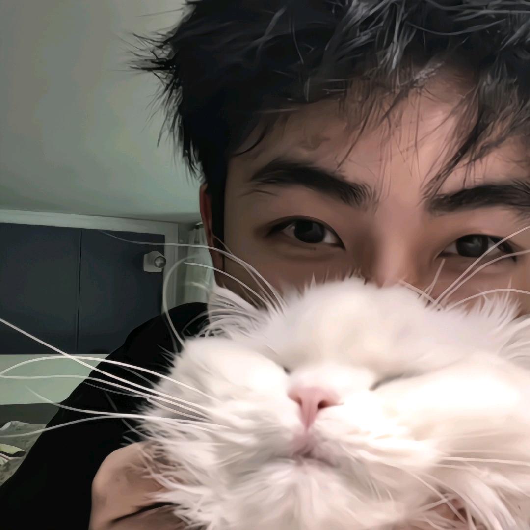 陆游不弃