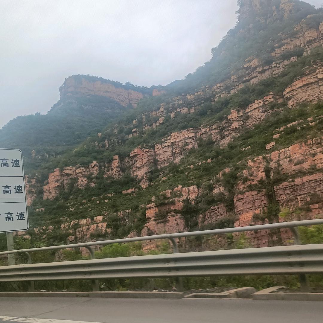 向往明天
