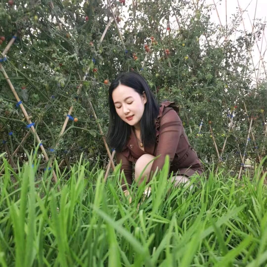 梅姐