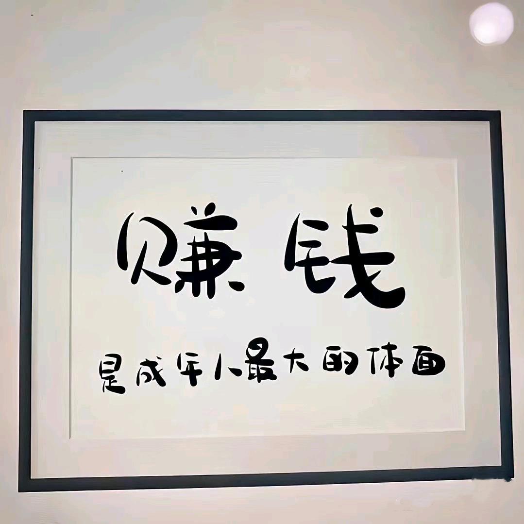 宠物垫料，生物颗粒