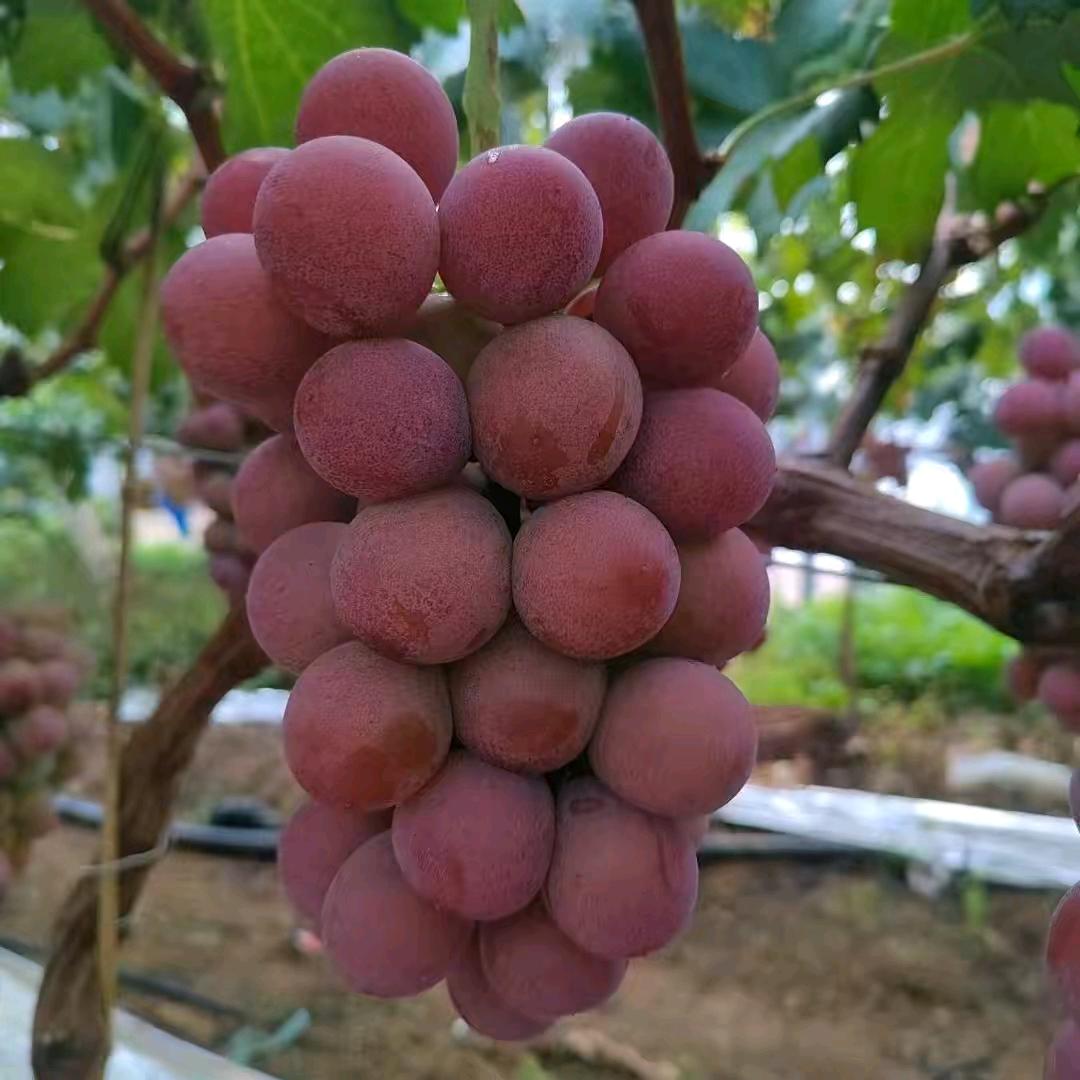 千里之外