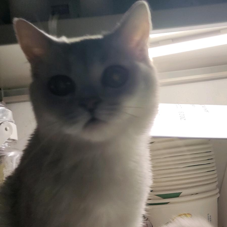 小崔催（三角洲行动）