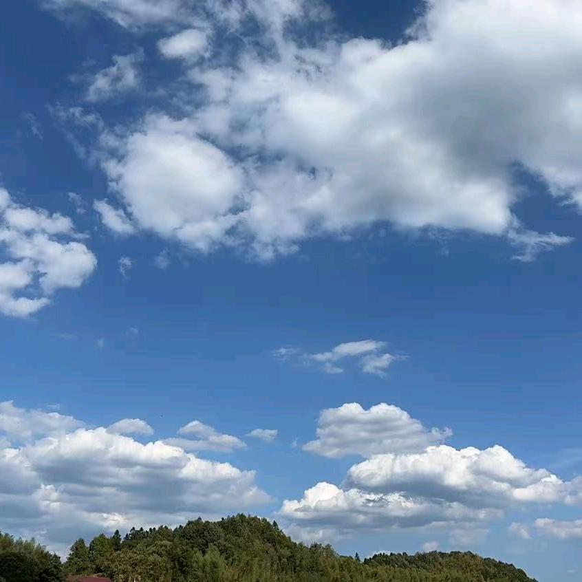 🏠余味（租房版🤓）