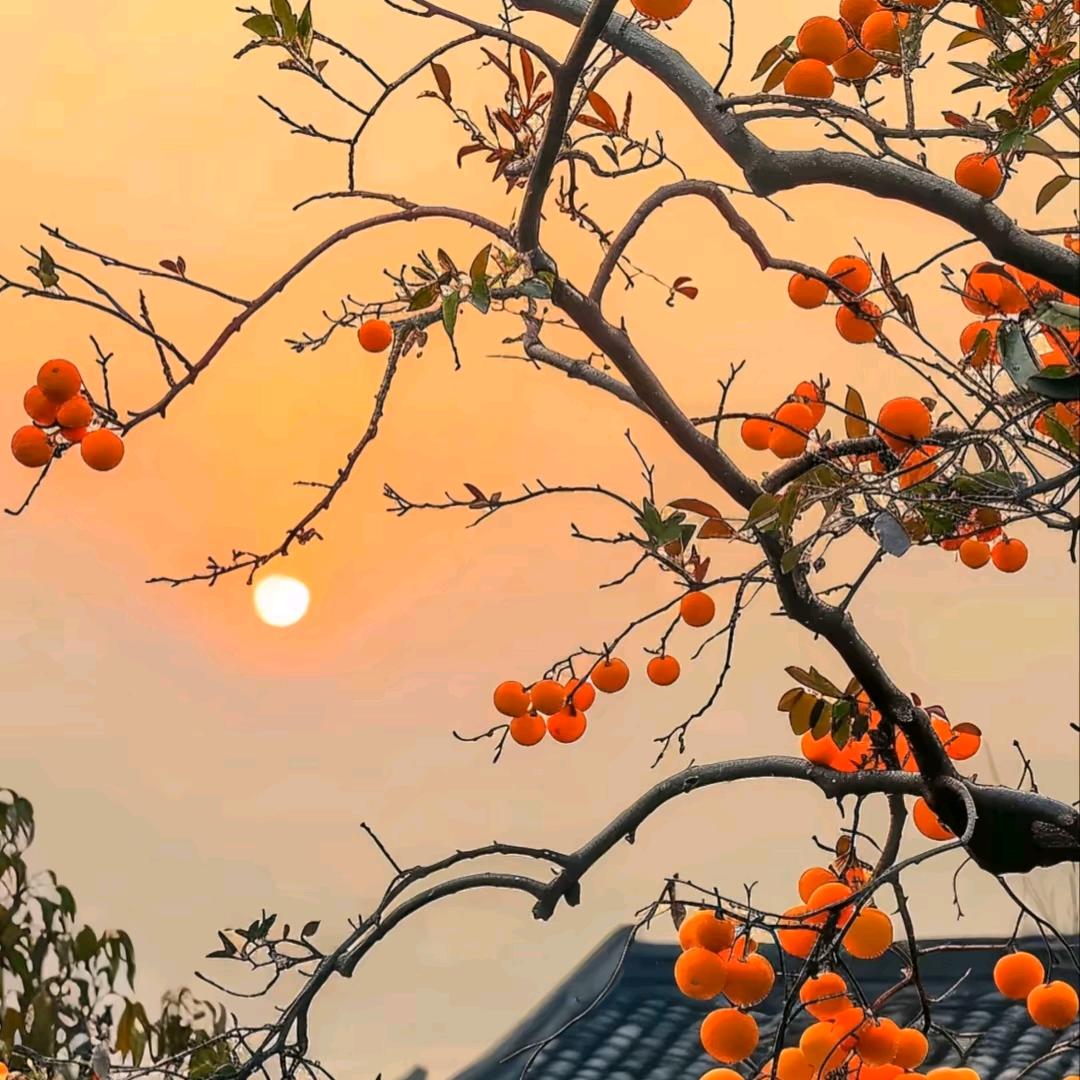 艾特，小优