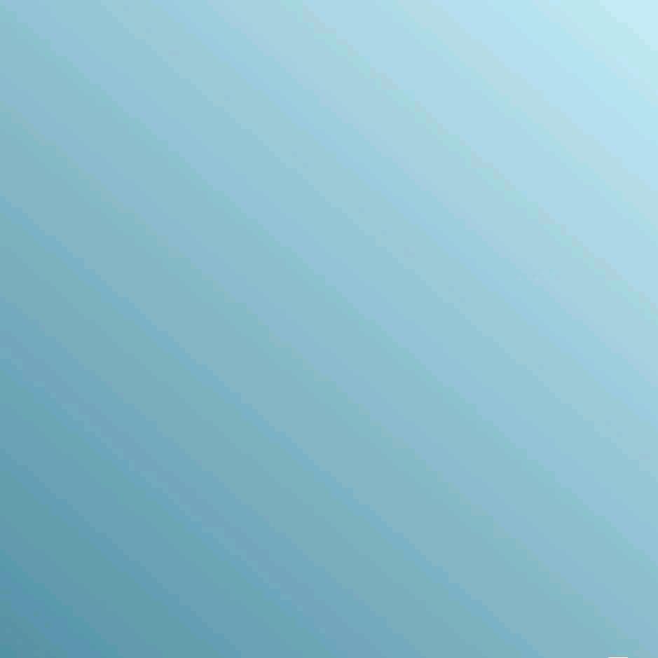 观砂