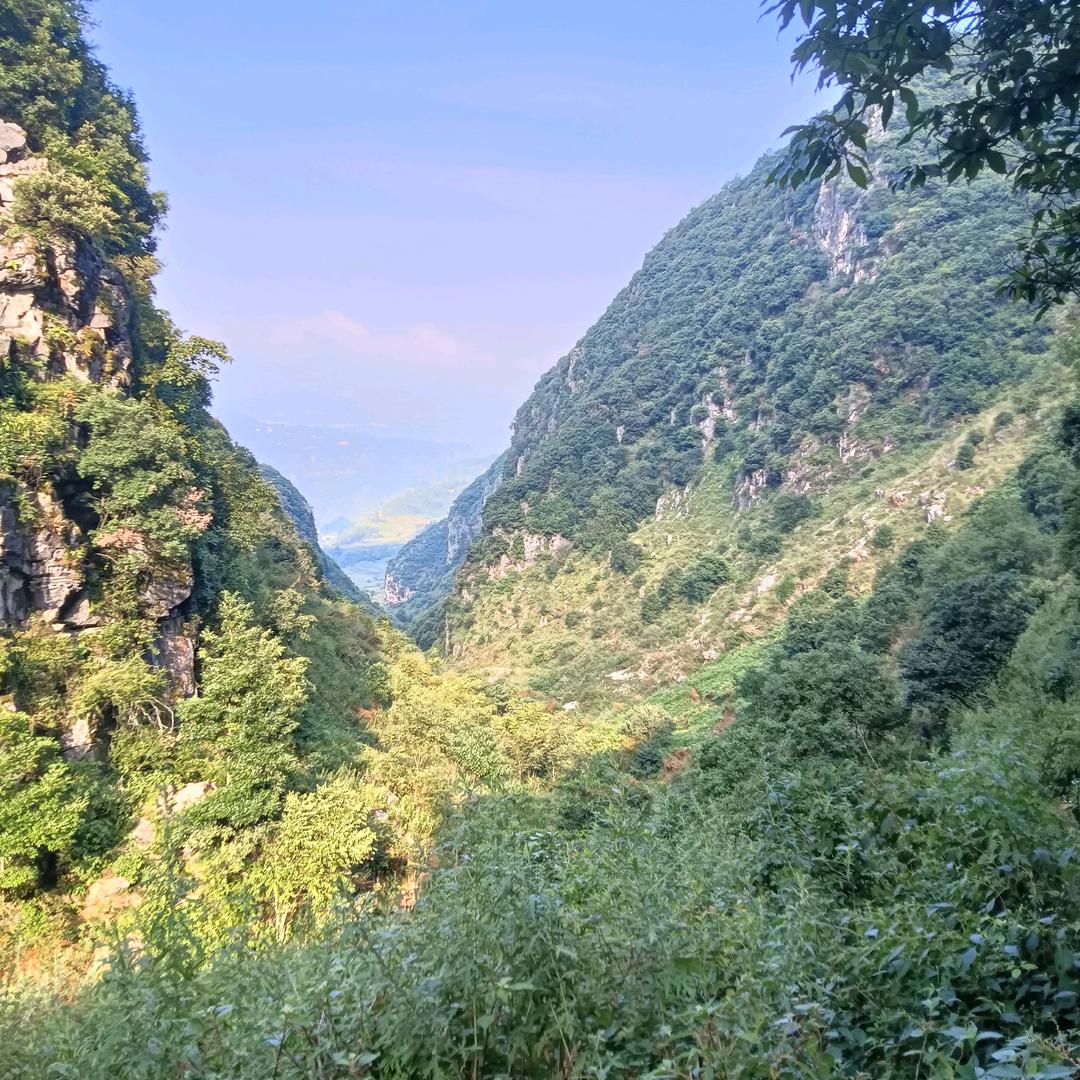 农村小李
