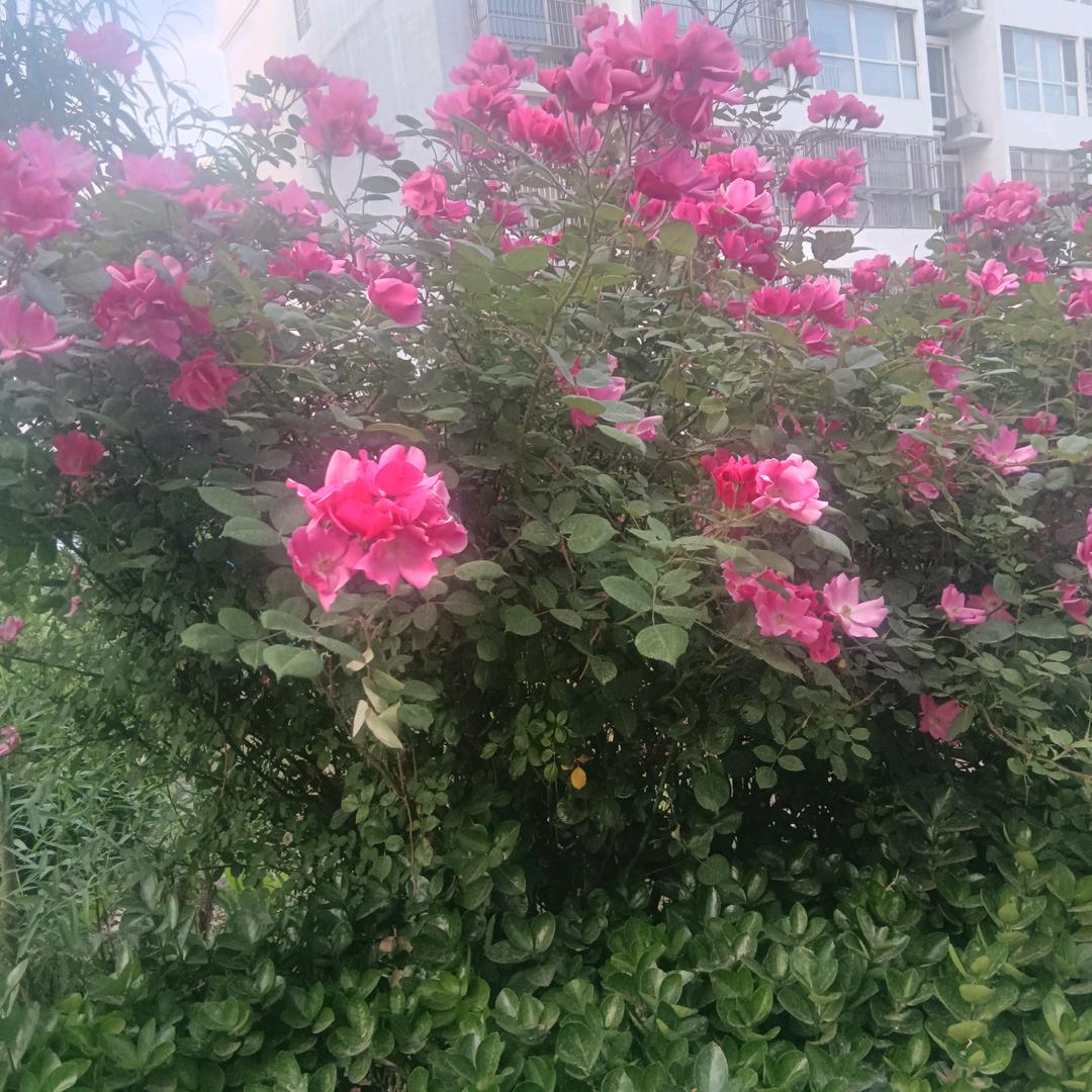 兄弟姐妹开心时光