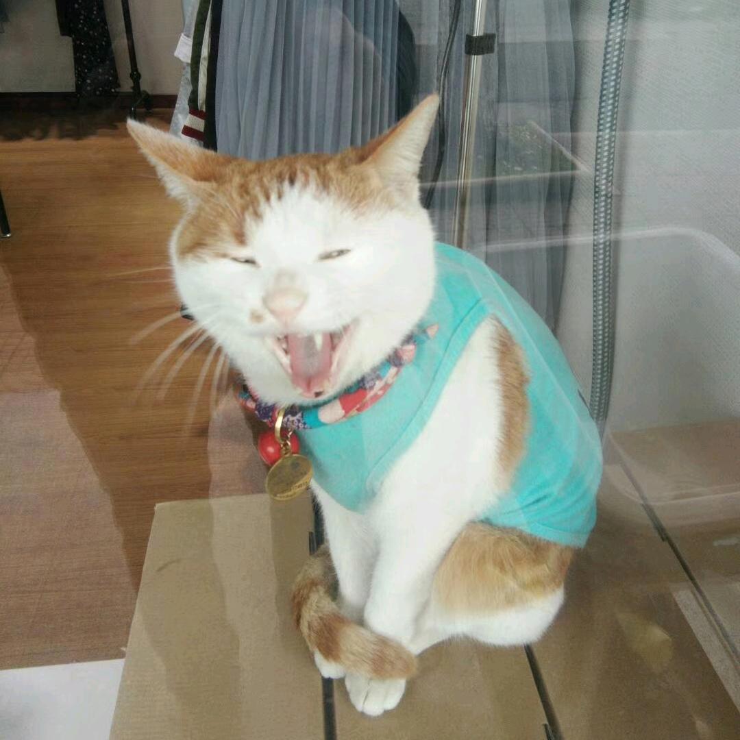 探淡一身