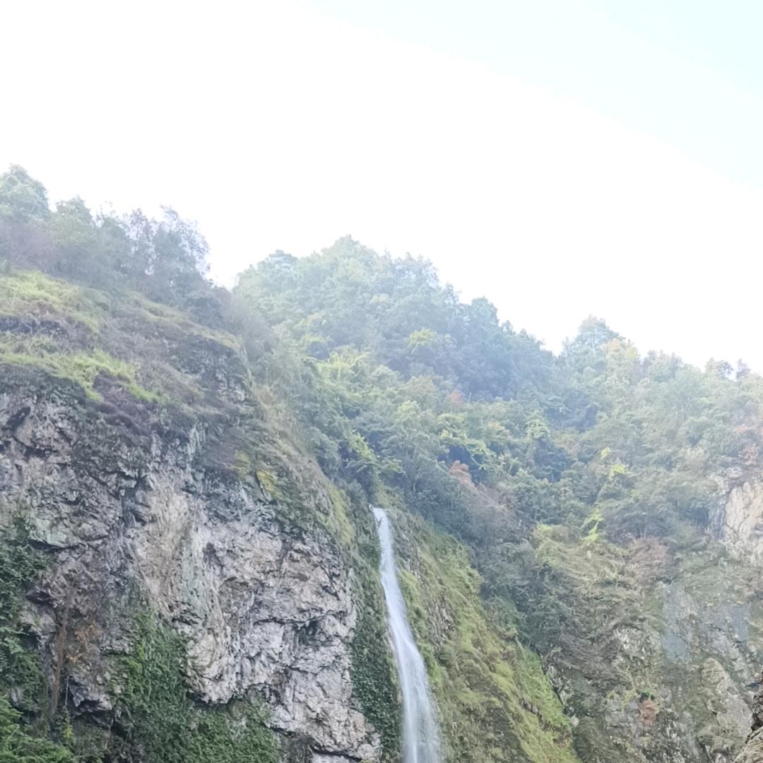 习惯有你