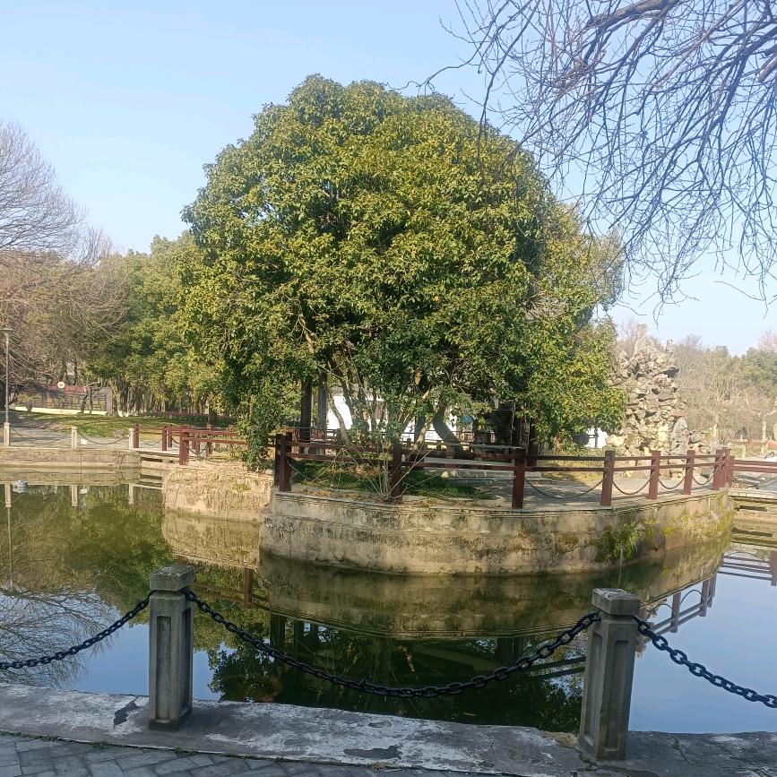 不聪明脑子好
