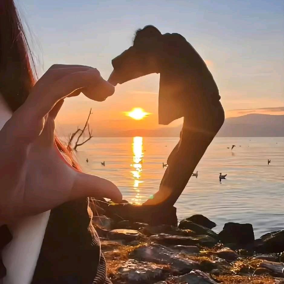 💞高山刘水💞