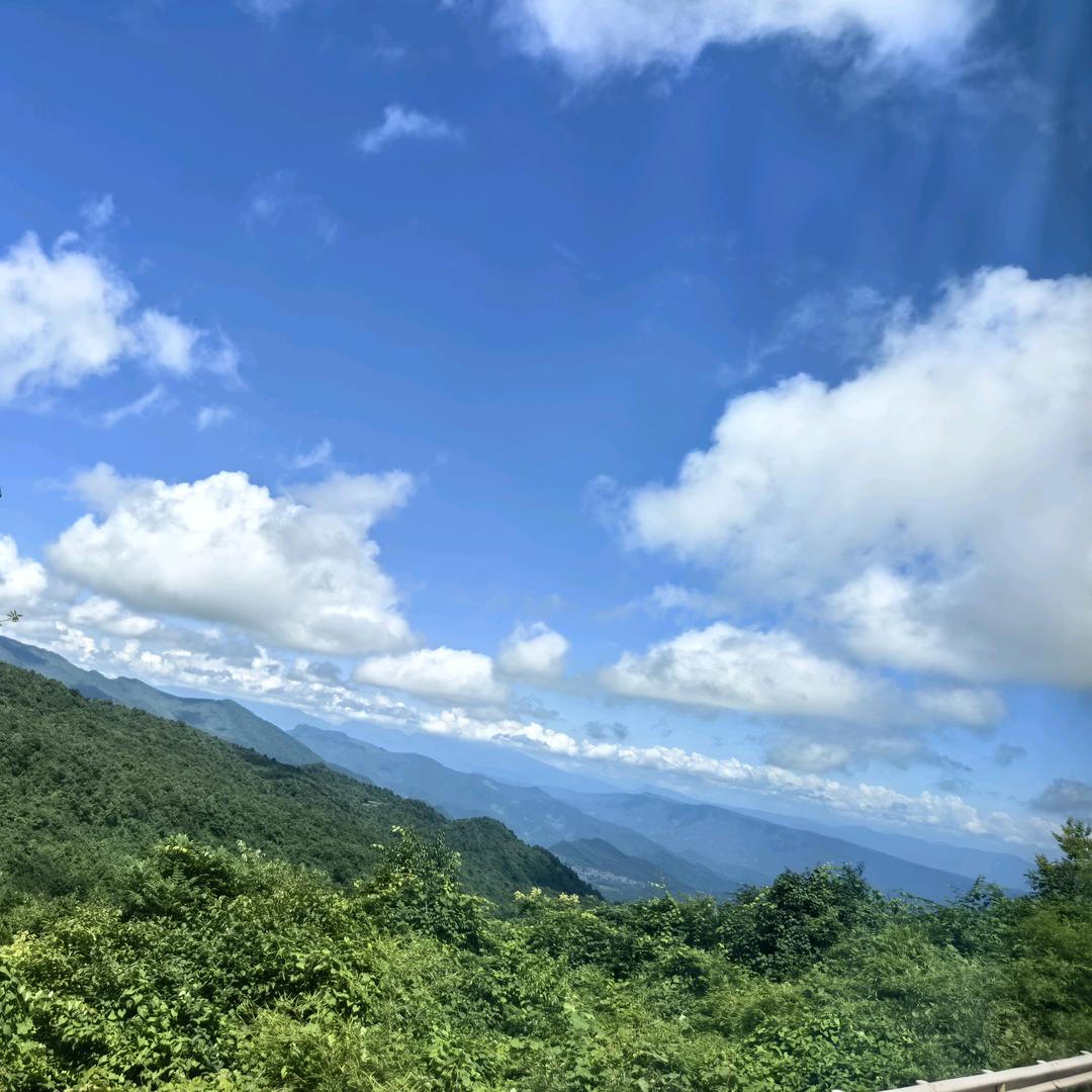JING静