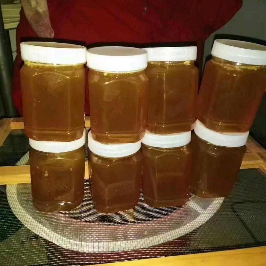 鹤峰农村养蜂人（老肖）