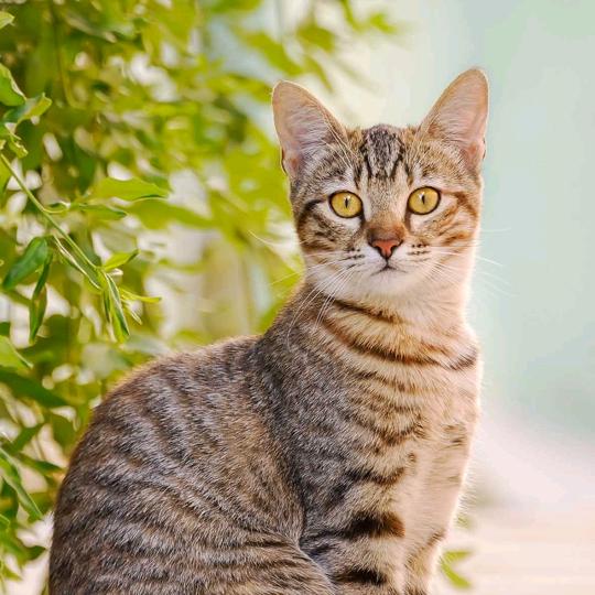 川：B、晥~松鼠☞小盐亭。