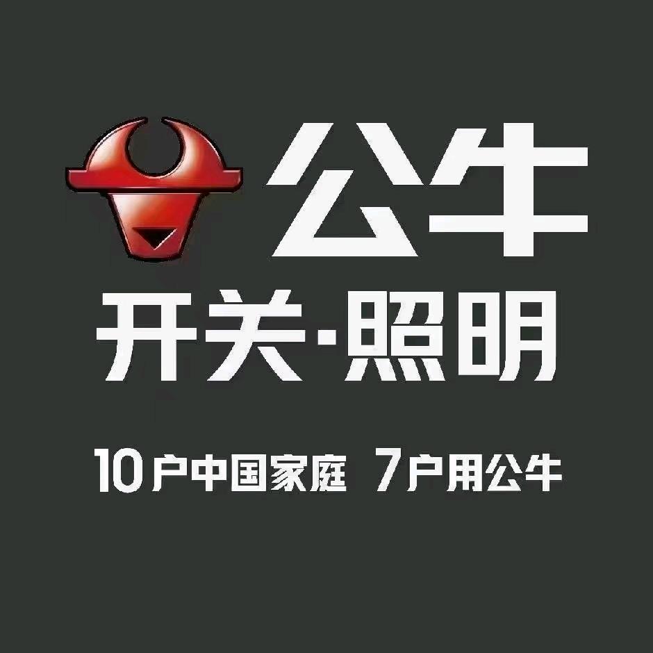 公牛 溆浦开关插座一哥