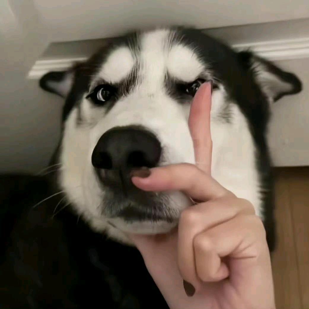 在济南弹钢琴的作家