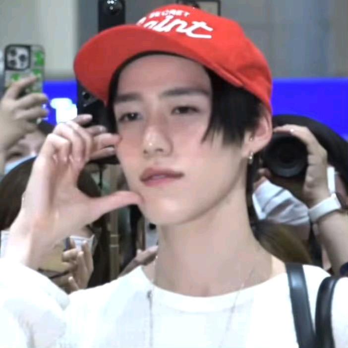 不吃尼莫鱼的企鹅