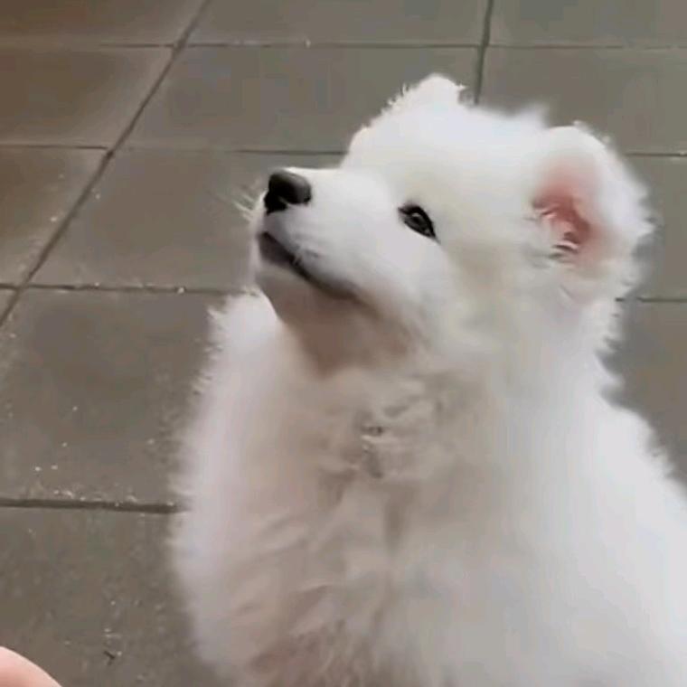 、এ陌ོ诺ꦿ℘゜