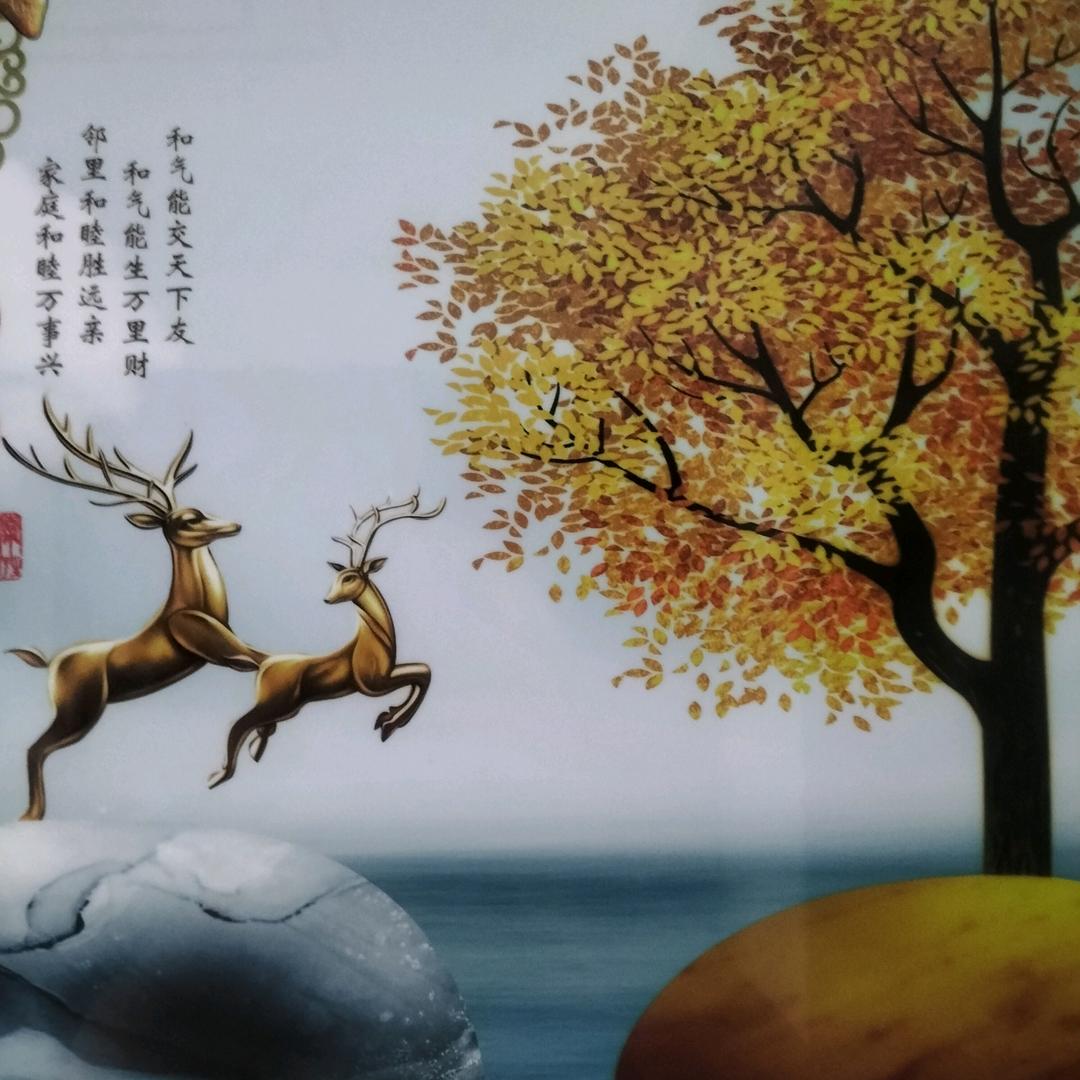 实话实说