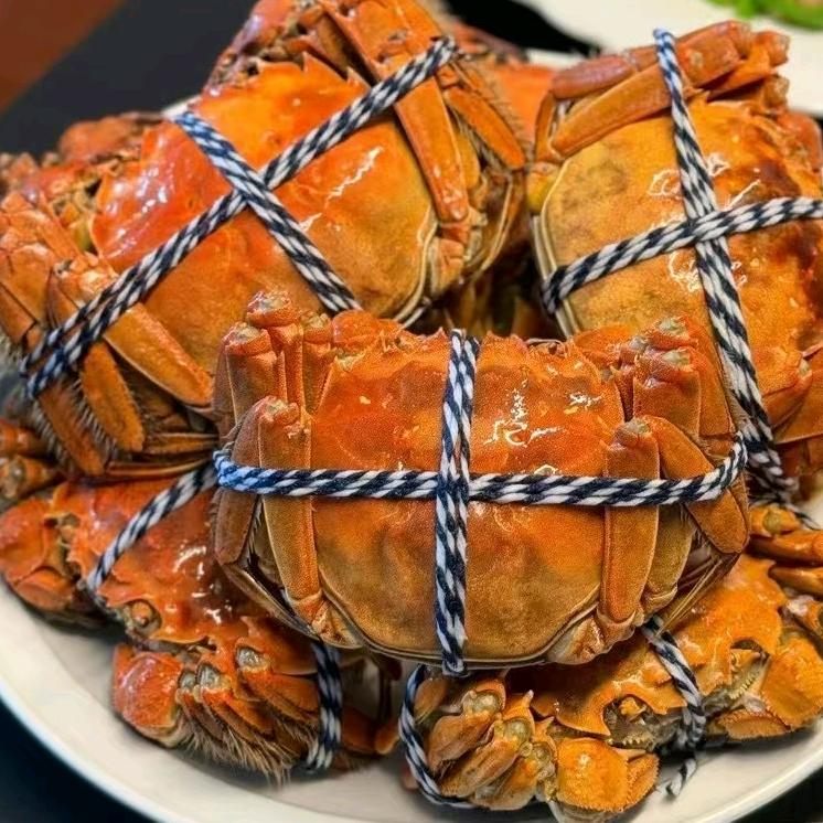 🦀大闸蟹🦀