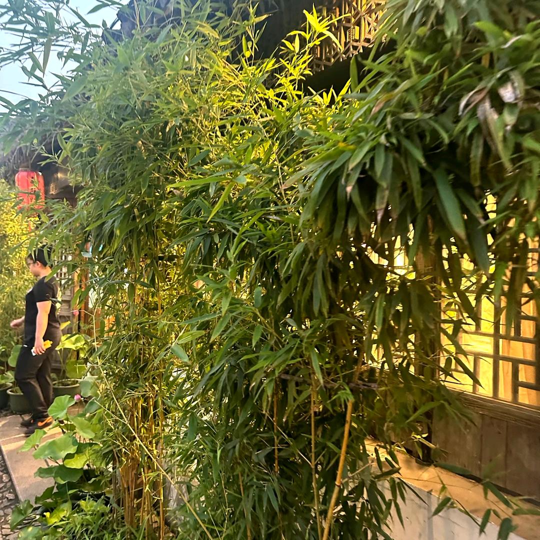 扶熟锋百货