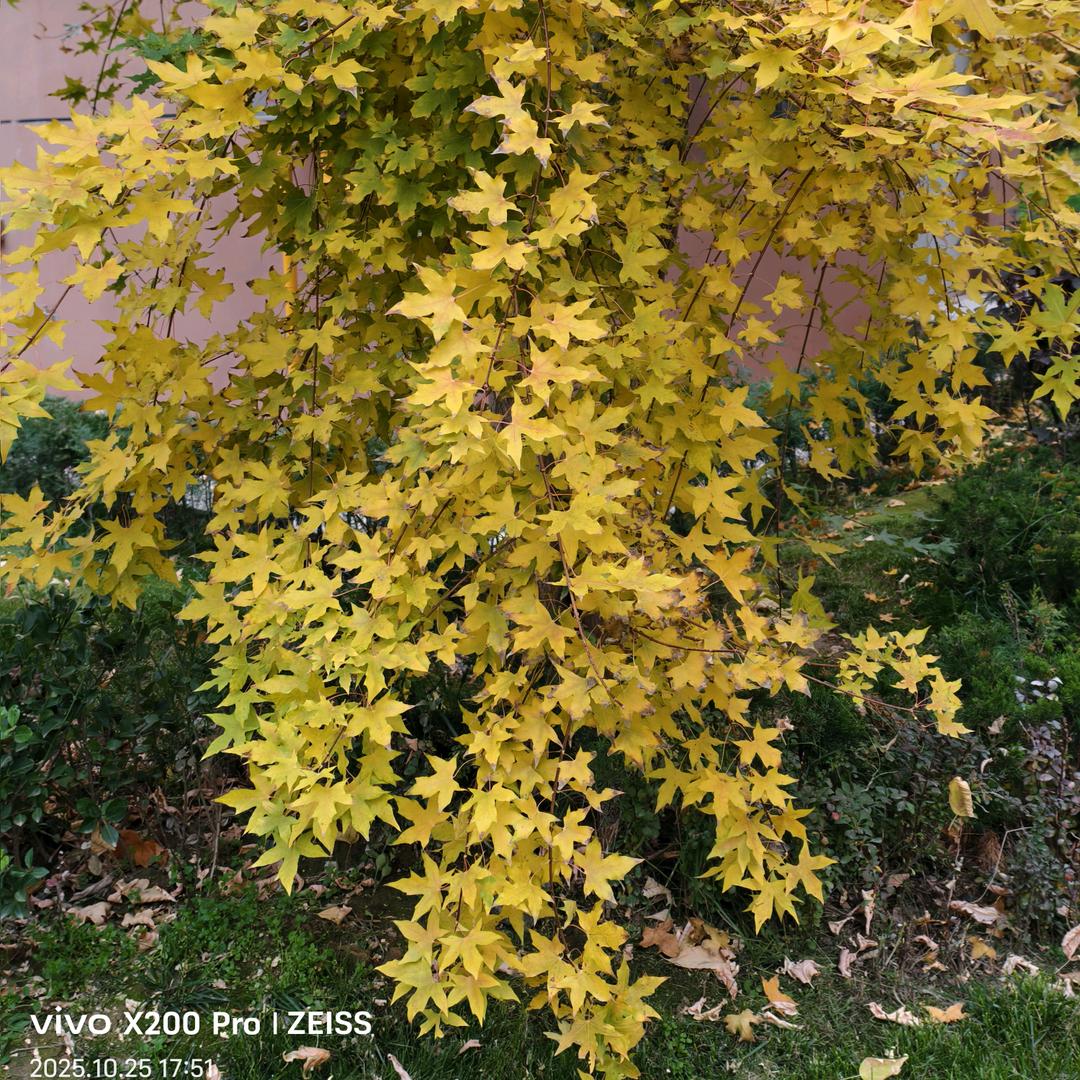 亚容老师——暖阳心理咨询