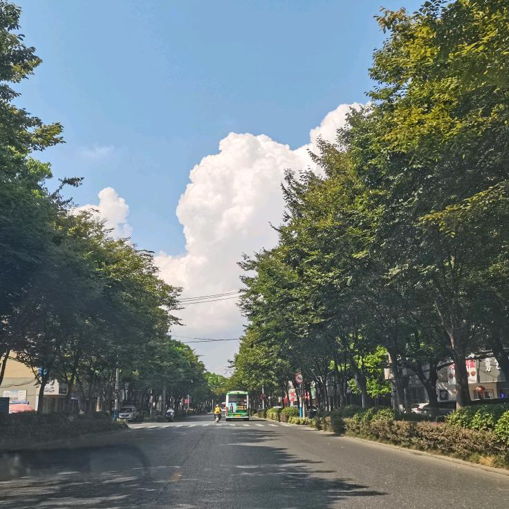 明知无答，偏偏想问