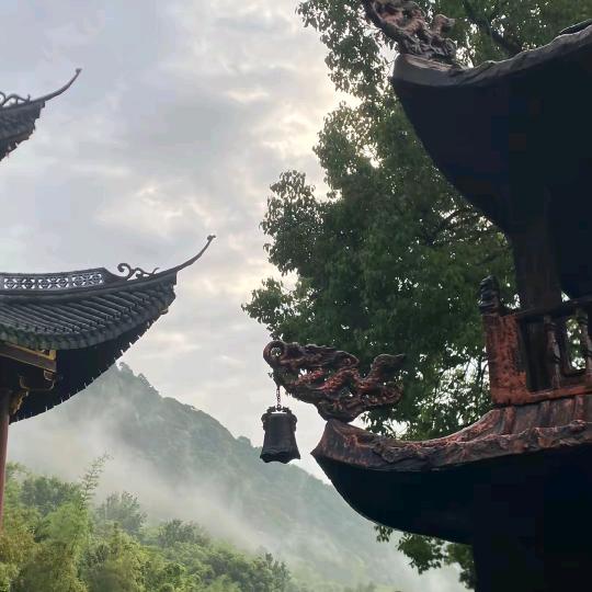 玄景（何时来发🎂便知）