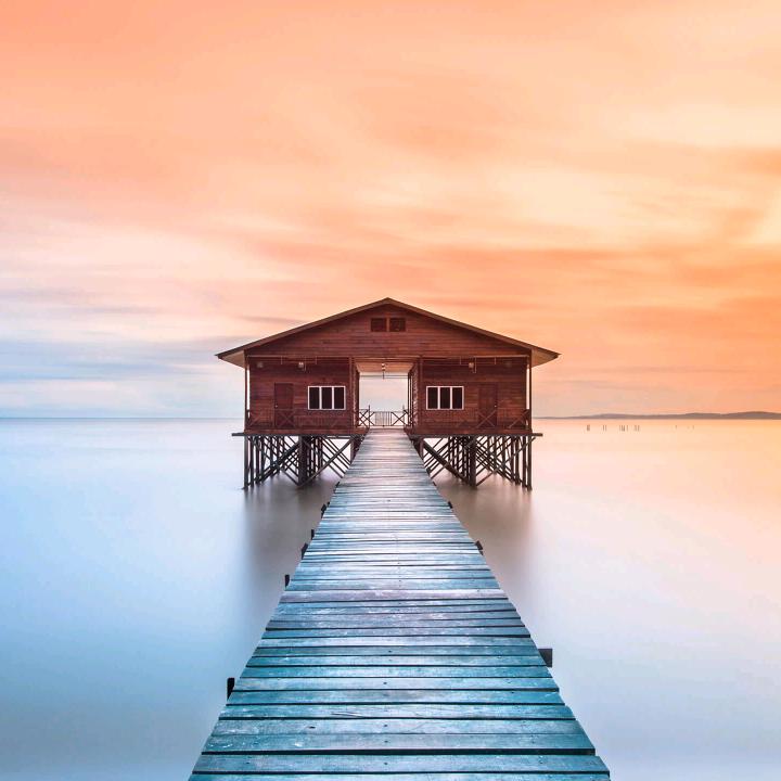 紫   🕶气🕶  東   🕶来