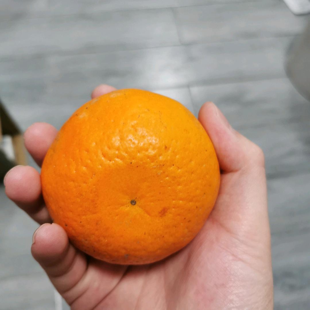 懂的52133628