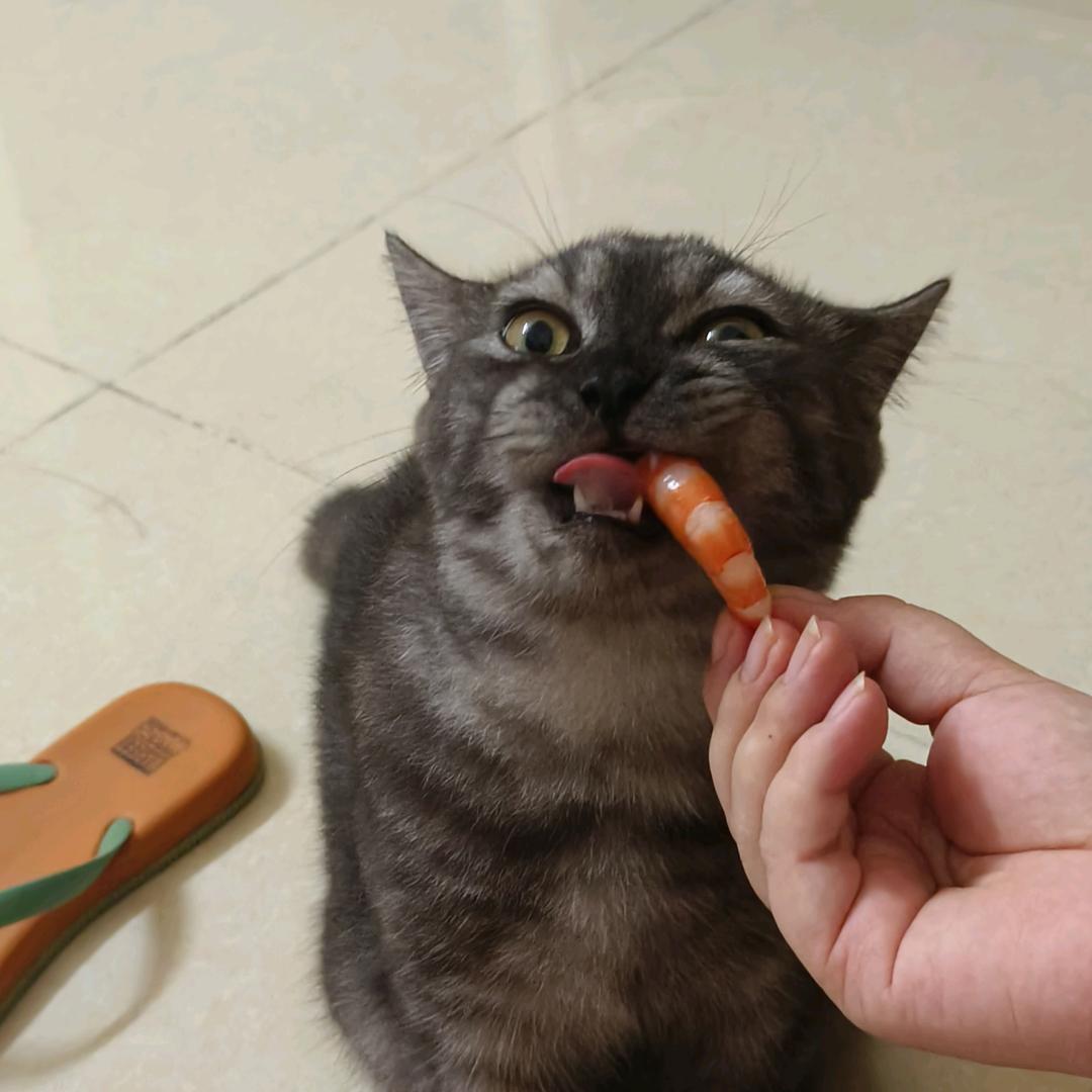 千千和万万