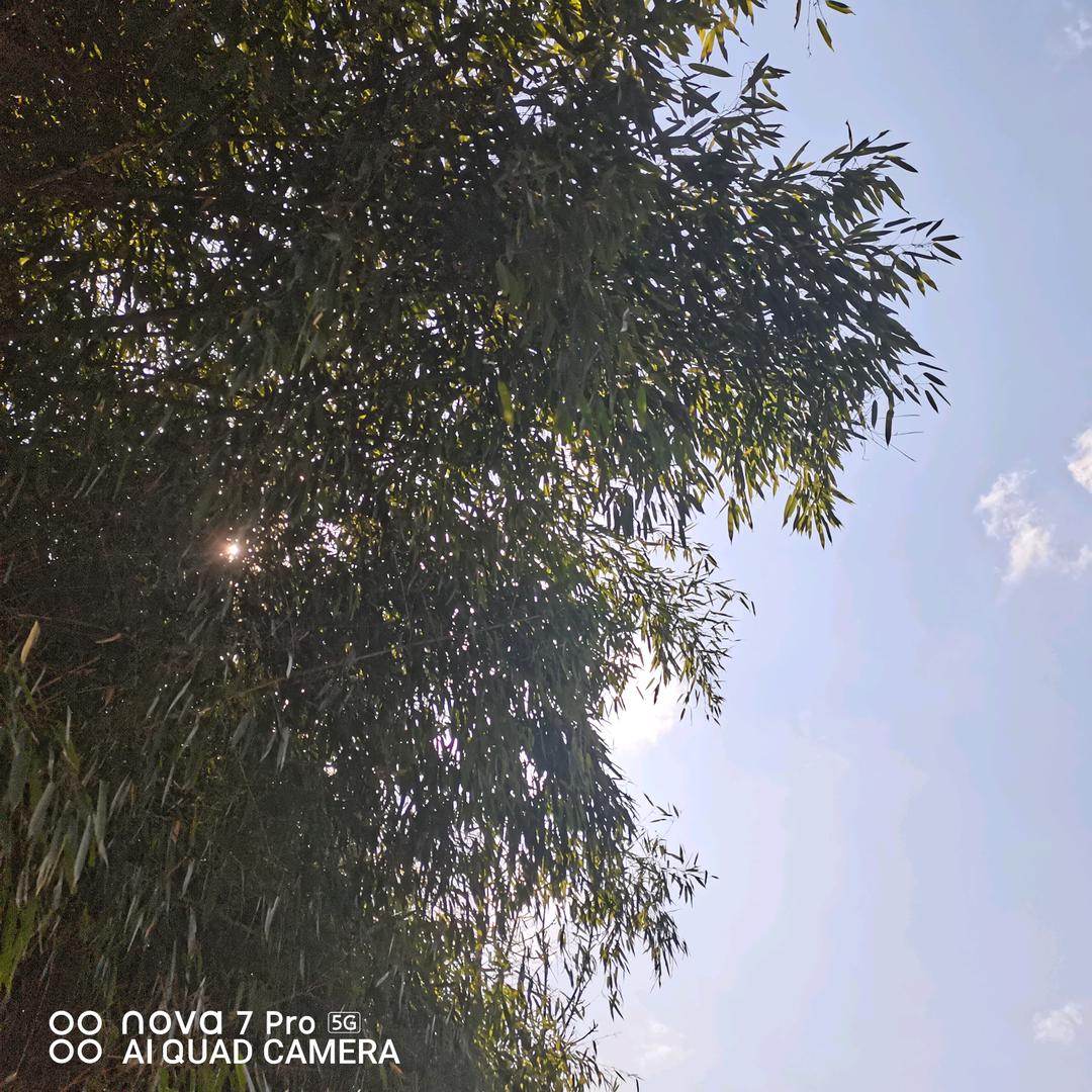 ；境遇