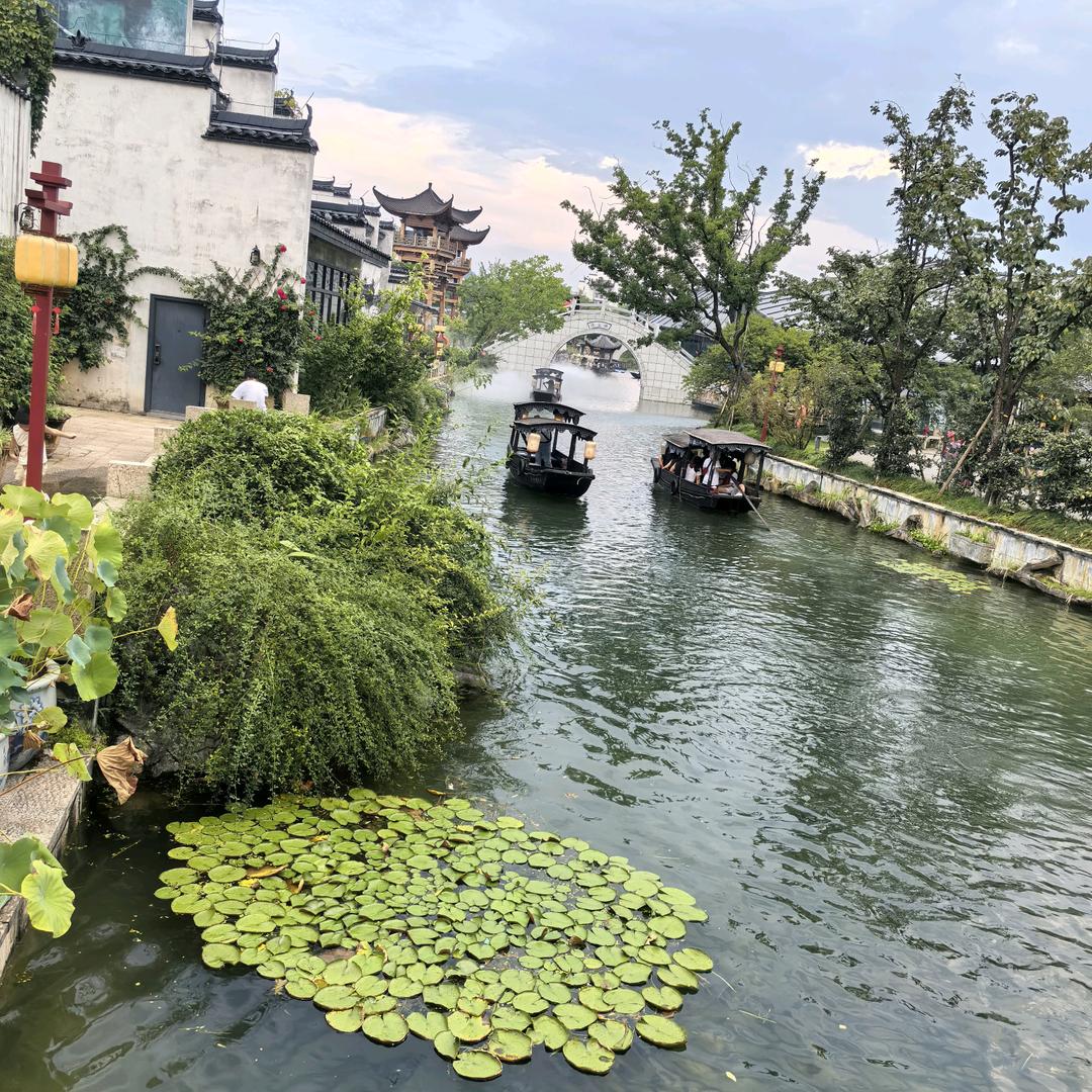 小炒舆情